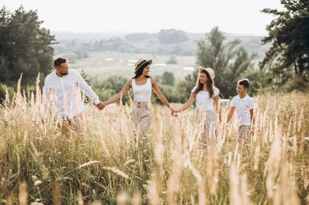 What Is Structured Family RecoveryⓇ And How Can It Help?